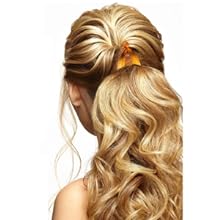 Vintage Hair Clips (4 pcs)