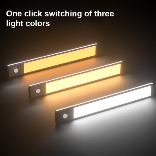 LuxMotion™ Smart Home Light